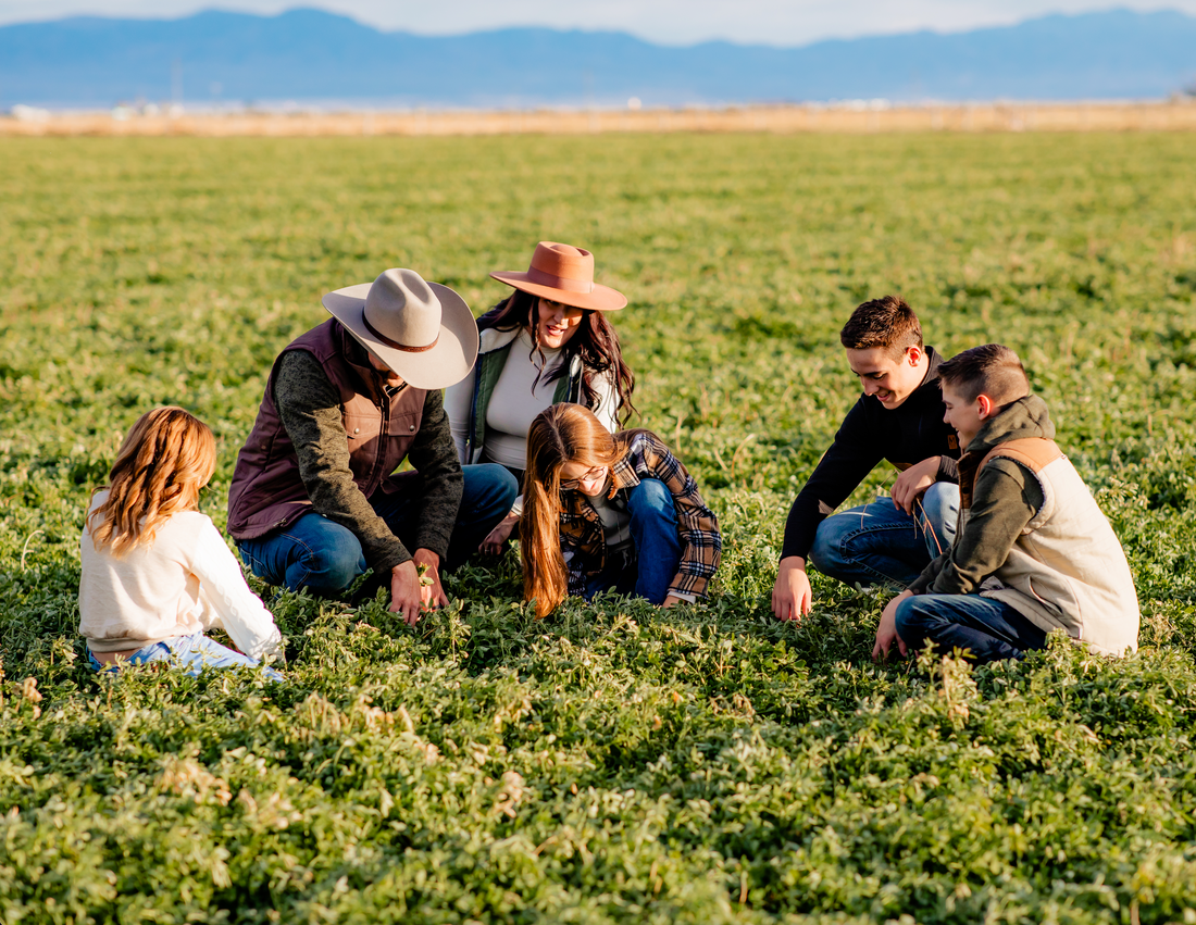 How Much Hay Should My Rabbit or Guinea Pig Eat?
