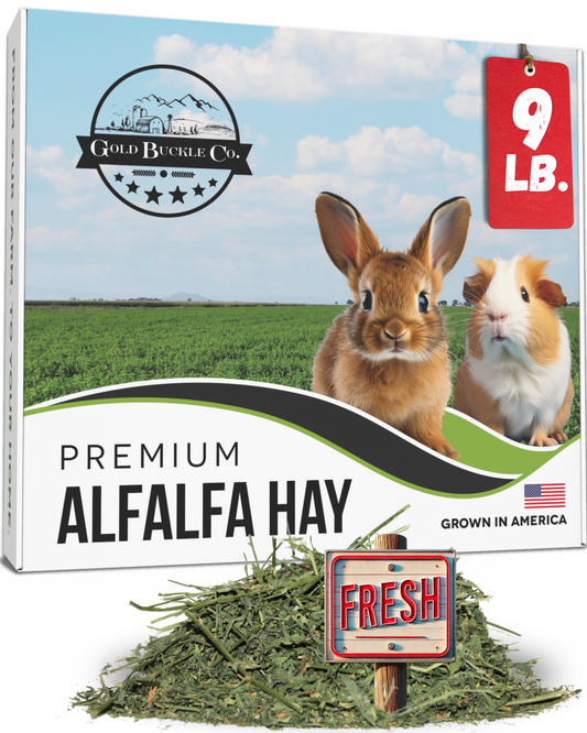 Premium Alfalfa Hay for Rabbits, Guinea Pigs & Small Pets – Farm Fresh & Boxed (9lbs.)