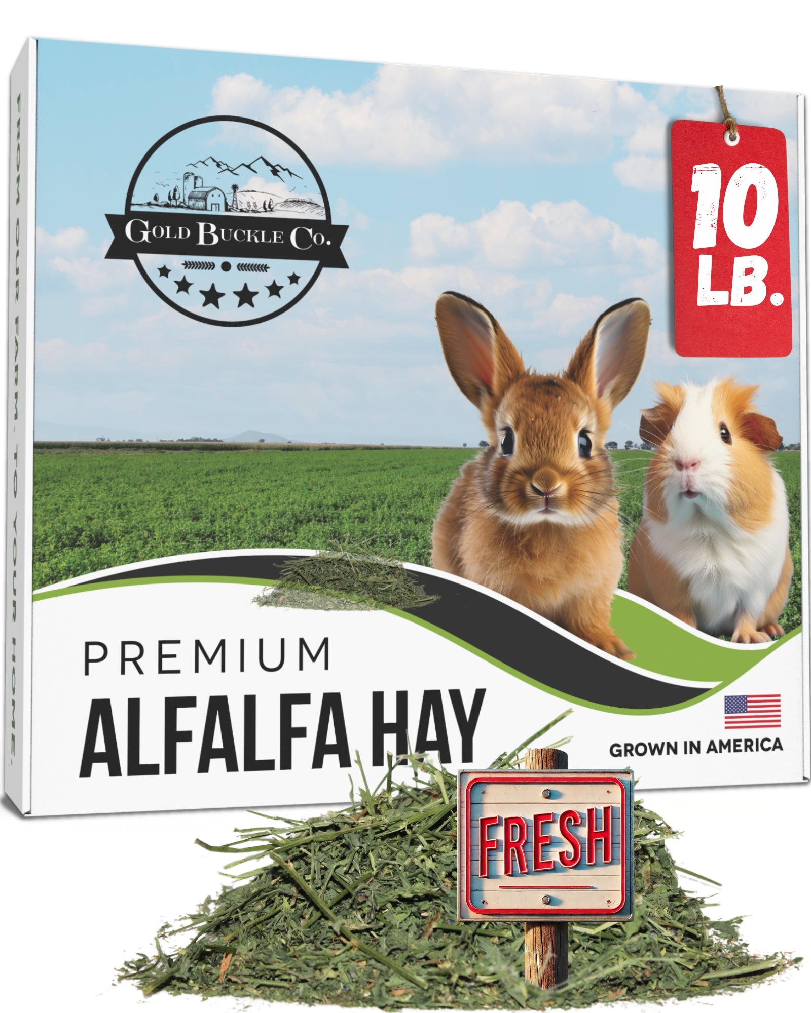 Alfalfa Hay 10 lb