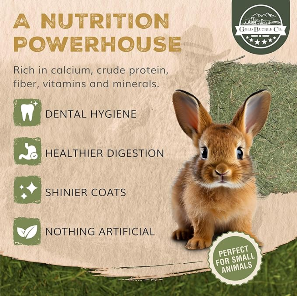Farm-fresh alfalfa hay for rabbits
