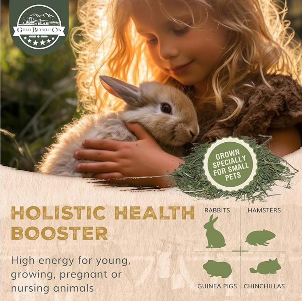 Organic alfalfa hay for rabbits and guinea pigs