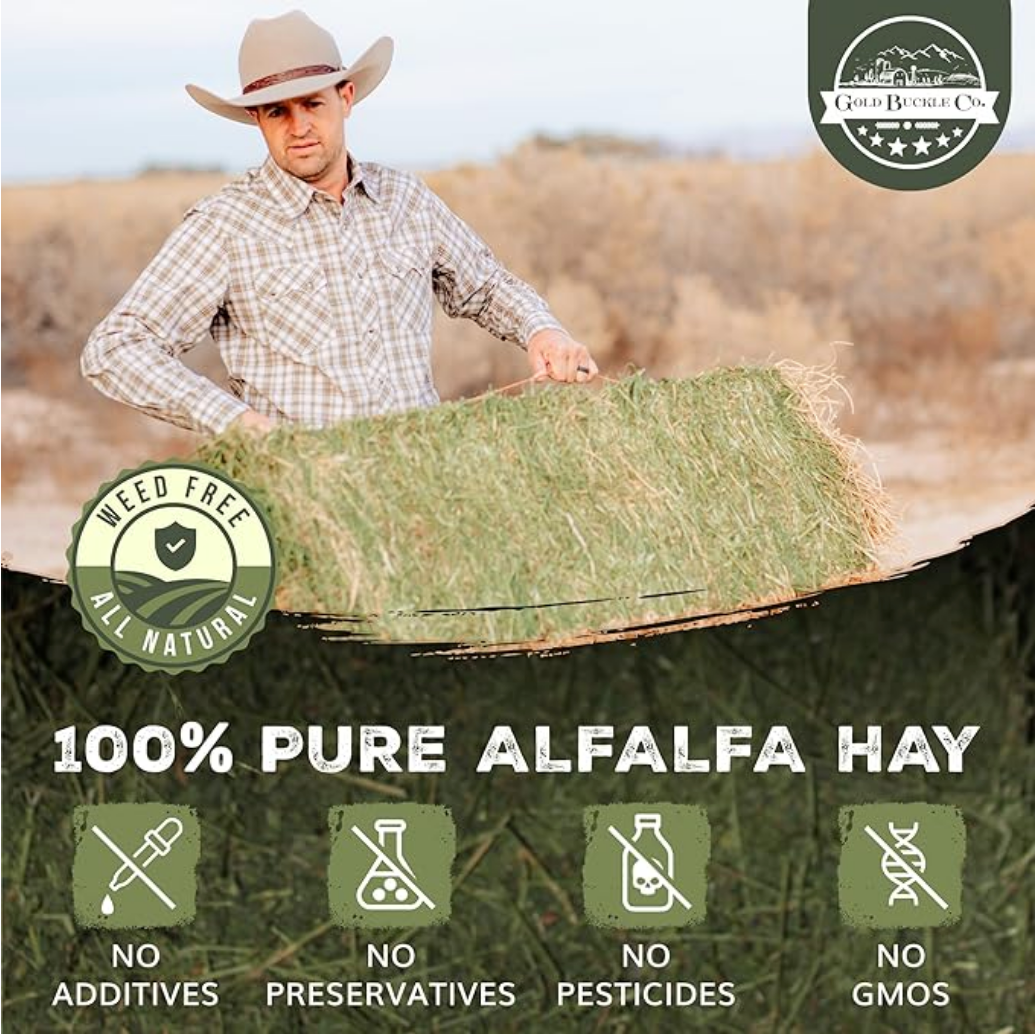 Premium Alfalfa Hay for Rabbits, Guinea Pigs & Small Pets – Farm Fresh & Boxed (9lbs.)