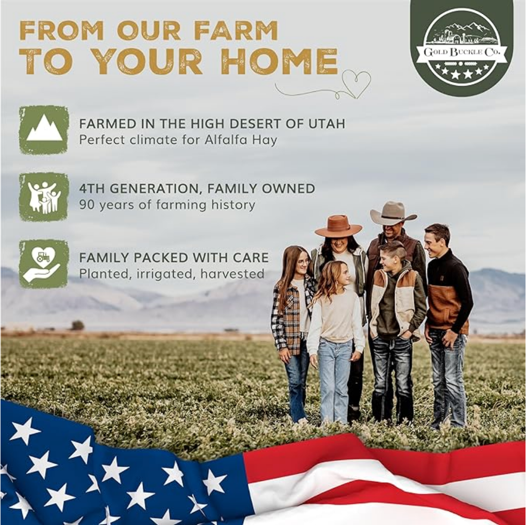 Premium Alfalfa Hay for Rabbits, Guinea Pigs & Small Pets – Farm Fresh & Boxed (9lbs.)