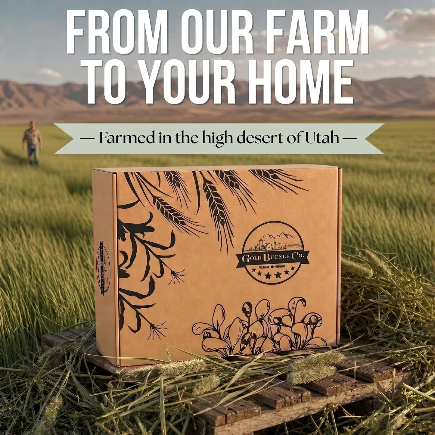 30 lb Premium Timothy Hay for Rabbits & Guinea Pigs | Farm Fresh Utah Grown (Copy) (Copy)