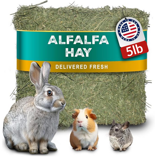 Premium fresh quality feed for rabbits, guniea pigs, and chinchillas 