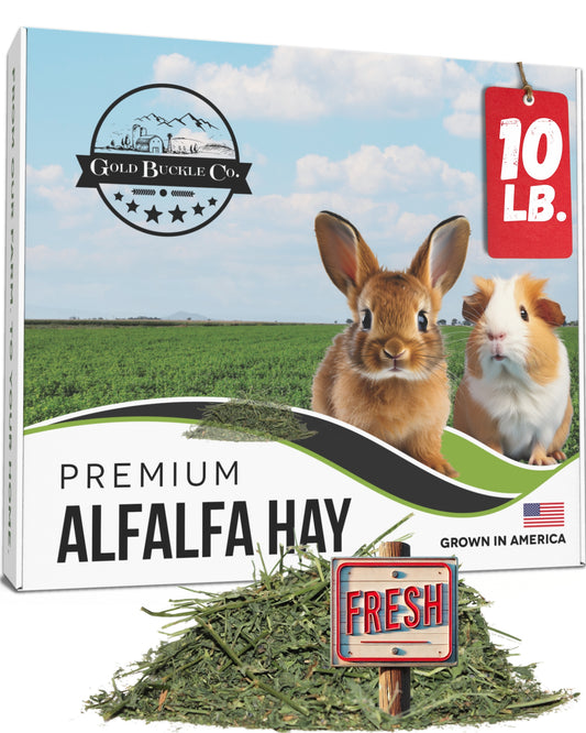 Alfalfa Hay (10 lb)