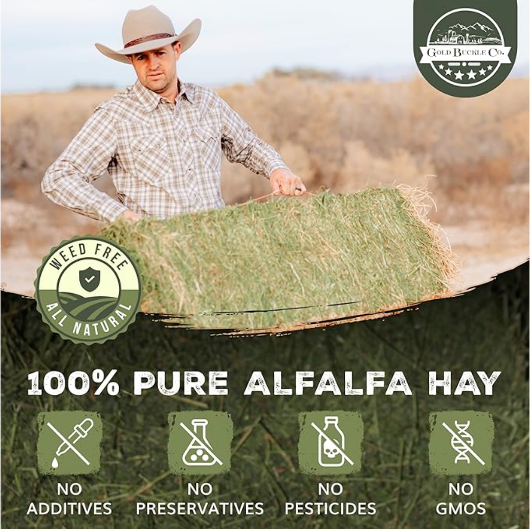 Alfalfa Hay (10 lb)