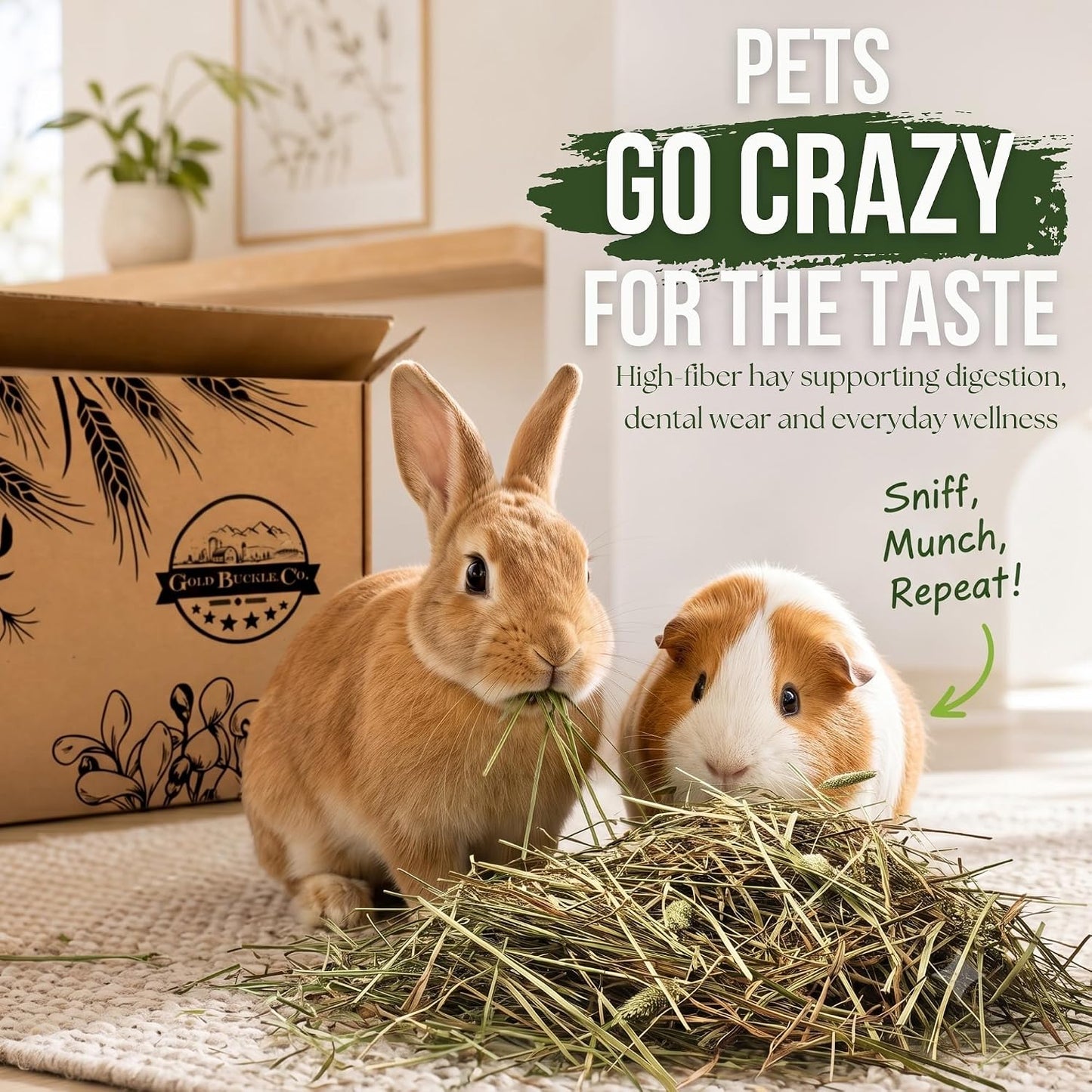 30 lb Premium Timothy Hay for Rabbits & Guinea Pigs | Farm Fresh Utah Grown (Copy) (Copy)
