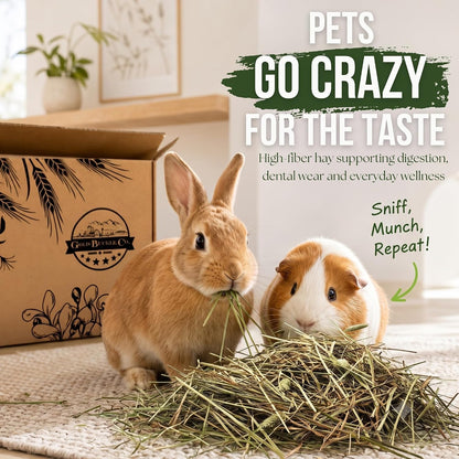 30 lb Premium Timothy Hay for Rabbits & Guinea Pigs | Farm Fresh Utah Grown (Copy) (Copy)