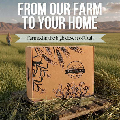 30 lb Premium Timothy Hay for Rabbits & Guinea Pigs | Farm Fresh Utah Grown (Copy) (Copy)