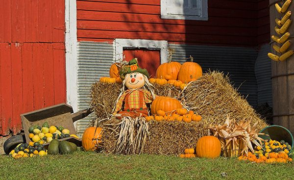 Decorative straw bale for fall porch display